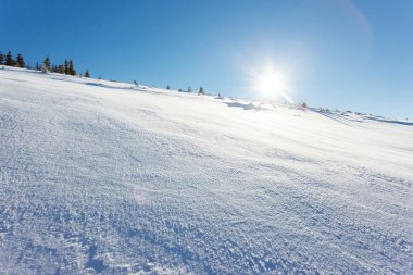 Görkemli manzara sabah güneş parlıyor. Dramatik kış sahne. Konumu Karpat Milli Parkı, Ukrayna, Europe yerleştirin. Alps Kayak. Güzellik dünya. Yeni Yılınız Kutlu Olsun!