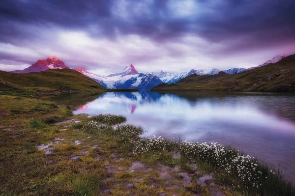 Gran Vista Del Monte Schreckhorn Wetterhorn Sobre Lago Bachalpsee Escena —  Fotos de Stock