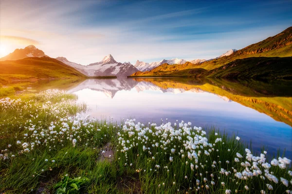 Toller Blick Auf Den Schreckhorn Und Wetterhorn Oberhalb Des Bachalpsees — Stockfoto