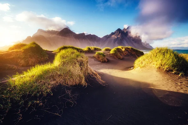 Güneş Işığıyla Parlayan Sarı Tepelerin Güzel Manzarası Görkemli Muhteşem Bir — Stok fotoğraf