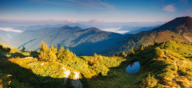 Güneş ışığıyla parlayan yeşil tepelerin güzel manzarası. Dramatik ve resimli bir sahne. Karpatlar Ulusal Parkı, Kornogora Bölgesi. Ukrayna, Avrupa. Sanatsal resim. Güzellik dünyası. 