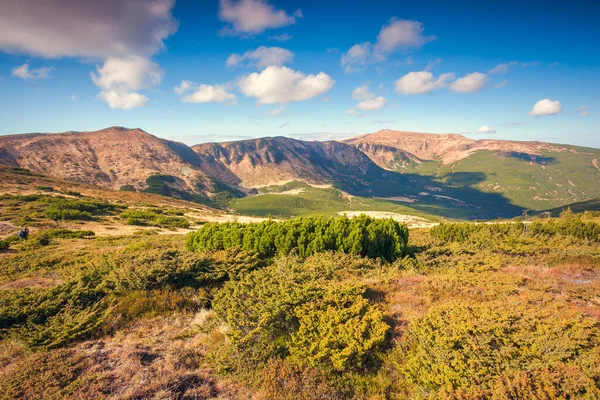 Fin Utsikt Över Gröna Kullarna Som Glöder Solljus Dramatisk Och — Stockfoto