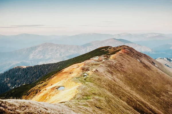 Fantastica Vista Dell Erba Gialla Secca Scena Drammatica Pittoresca Località — Foto Stock