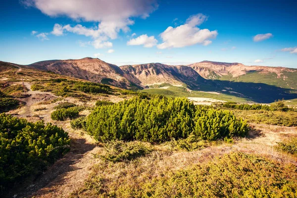 Bella Vista Sulle Verdi Colline Che Risplendono Luce Solare Scena — Foto Stock