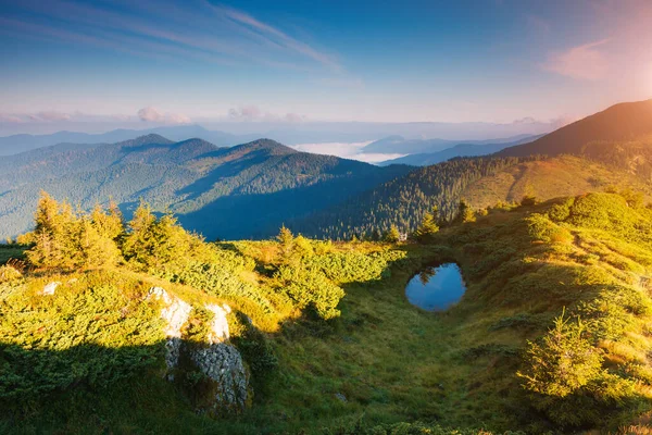 Bella Vista Sulle Verdi Colline Che Risplendono Luce Solare Scena — Foto Stock