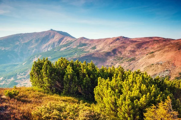 Mooi Uitzicht Groene Heuvels Die Oplichten Door Het Zonlicht Dramatische — Stockfoto