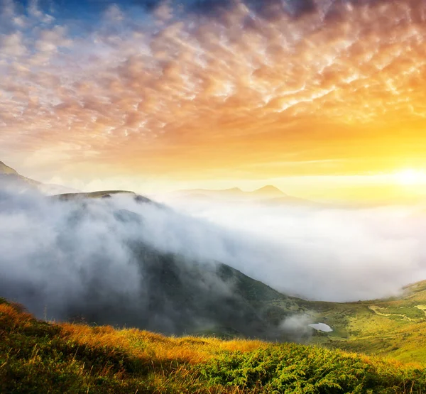Fantastic View Foggy Hill Cloudy Sky Which Glowing Sunlight Dramatic — Stock Photo, Image