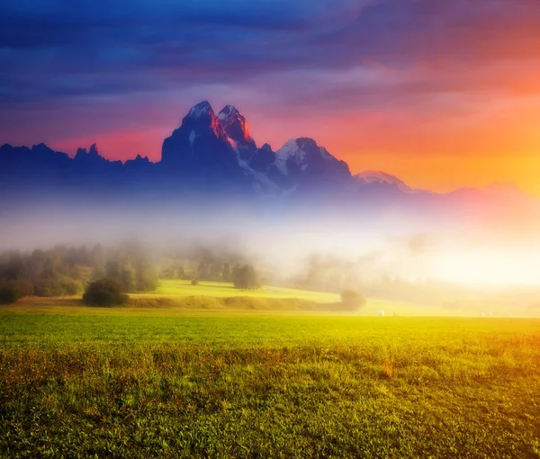 Fantastisches Feld Nebel Fuße Des Ushba Vom Sonnenlicht Beleuchtet Dramatische — Stockfoto
