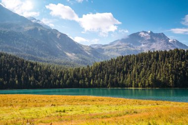 Champfer 'in Alp Vadisi' ndeki masmavi gölet manzarası harika. Popüler turist eğlencesi. Resimli ve muhteşem bir sahne. İsviçre Alpleri, Silvaplana Köyü, Maloja Bölgesi, Avrupa. Güzellik dünyası.