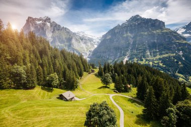 Eiger Köyü 'nün manzarası çok etkileyici. Resimli ve muhteşem bir sahne. Popüler turist eğlencesi. İsviçre Alpleri, Grindelwald Vadisi, Bernese Oberland, Avrupa. Güzellik dünyası.