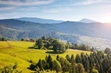 Güneş ışığıyla parlayan Alp Vadisi 'nin harika manzarası. Resim gibi ve muhteşem bir sabah sahnesi. Popüler turist eğlencesi. Mekan Karpatlar, Ukrayna, Avrupa. Sanatsal resim. Güzellik dünyası