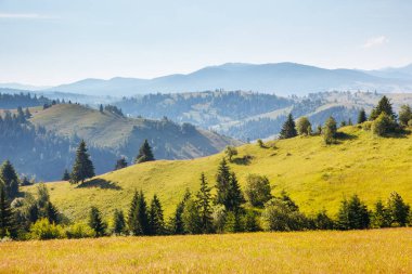Güneş ışığıyla parlayan Alp Vadisi 'nin harika manzarası. Resim gibi ve muhteşem bir sabah sahnesi. Popüler turist eğlencesi. Mekan Karpatlar, Ukrayna, Avrupa. Sanatsal resim. Güzellik dünyası