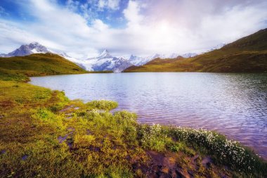 Dağın Panorama 'sı. Bachalpsee gölünün yukarısında Schreckhorn ve Wetterhorn. Idyllic ve pitoresk bir sahne. Popüler turist eğlencesi. İsviçre Alpleri, Bernese Oberland, Grindelwald, Avrupa. Güzellik dünyası.