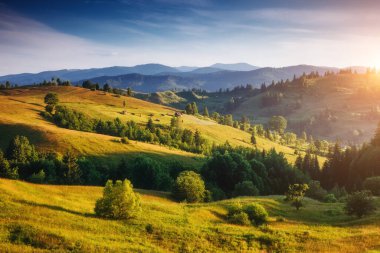Güneş ışığıyla parlayan Alp Vadisi 'nin harika manzarası. Resim gibi ve muhteşem bir sabah sahnesi. Popüler turist eğlencesi. Mekan Karpatlar, Ukrayna, Avrupa. Sanatsal resim. Güzellik dünyası