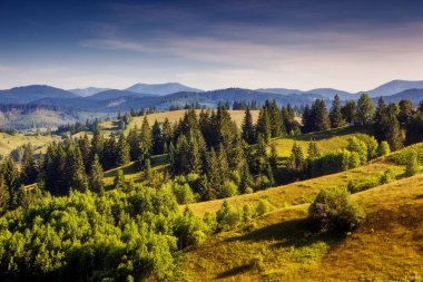 Güneş ışığıyla parlayan Alp Vadisi 'nin harika manzarası. Resim gibi ve muhteşem bir sabah sahnesi. Popüler turist eğlencesi. Mekan Karpatlar, Ukrayna, Avrupa. Sanatsal resim. Güzellik dünyası