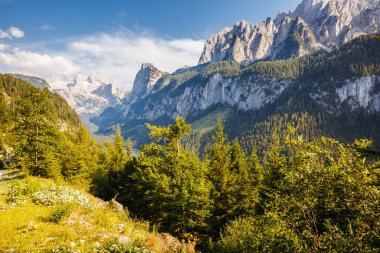 Alp manzarası harika. Resim gibi ve muhteşem bir sabah sahnesi. Salzkammergut Yukarı Avusturya 'daki Gosau Vadisi' nde bulunan ünlü bir tatil köyüdür. Dachstein buzulu. Güzellik dünyası.