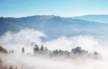 Güneş ışığıyla parlayan Alp Vadisi 'nin harika manzarası. Resim gibi ve muhteşem bir sabah sahnesi. Popüler turist eğlencesi. Mekan Karpatlar, Ukrayna, Avrupa. Sanatsal resim. Güzellik dünyası