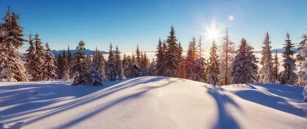 Sabahları Güneş Işığıyla Parlayan Görkemli Kış Manzarası Açık Mavi Gökyüzü — Stok fotoğraf