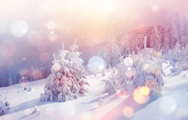 Majestätische Winterlandschaft Die Morgens Vom Sonnenlicht Erleuchtet Wird Dramatische Winterliche — Stockfoto