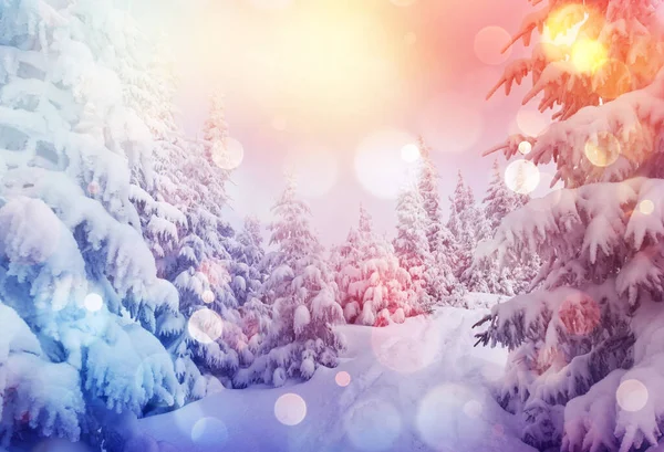 Majestätische Winterlandschaft Die Morgens Vom Sonnenlicht Erleuchtet Wird Dramatische Winterliche — Stockfoto