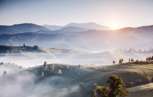 stock image Great view of alpine village glowing by sunlight. Picturesque and gorgeous morning scene. Popular tourist attraction. Location place Carpathian, Ukraine, Europe. Artistic picture. Beauty world.