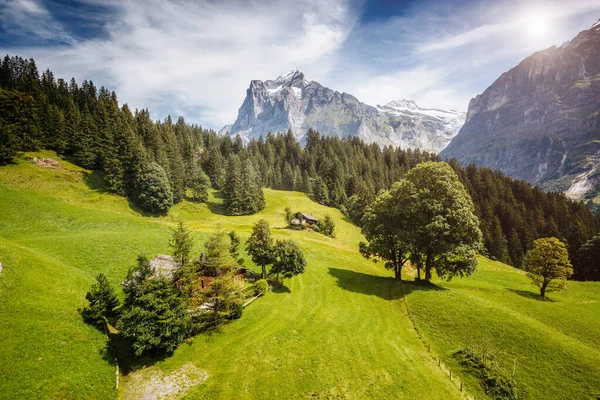 高山イーガー村の印象的な景色 絵のような豪華なシーン 人気の観光名所 場所スイスアルプス ヨーロッパのベルネーゼ オーバーランドのグリンデルヴァルト渓谷 美の世界 — ストック写真