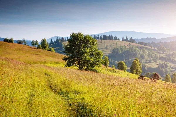 陽射しに照らされた高山の谷を一望できます 絵のように豪華な朝のシーン 人気の観光名所 場所カルパティア ウクライナ ヨーロッパ 芸術作品 美の世界 — ストック写真