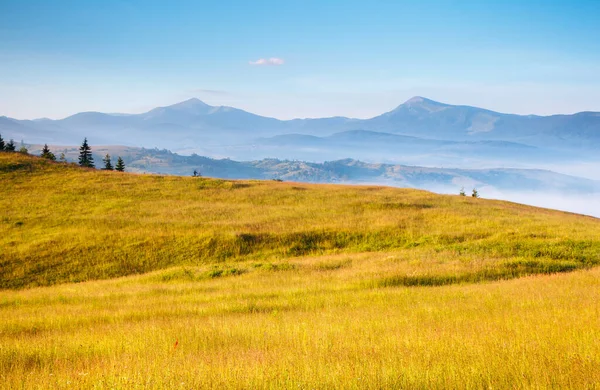 Great View Alpine Valley Glowing Sunlight Picturesque Gorgeous Morning Scene — Stock Photo, Image