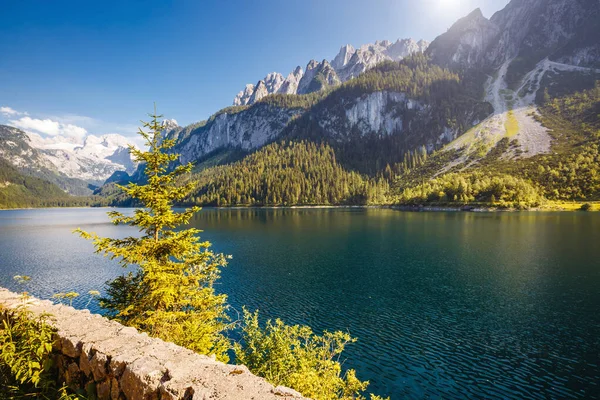 Velké Azurové Alpské Jezero Vorderer Gosausee Malebná Nádherná Ranní Scéna — Stock fotografie
