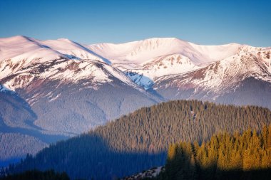 Güneşli bir gün dağ manzarasında. Dramatik ve resimli bir sabah sahnesi. Karpatya Ulusal Parkı, Kornogora Bölgesi. Ukrayna, Avrupa. Güzellik dünyası. 