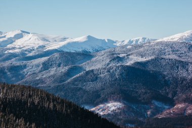 Görkemli manzara sabah güneş parlıyor. Dramatik kış sahne. Konumu Karpat Milli Parkı, Ukrayna, Europe yerleştirin. Alps Kayak. Güzellik dünya. Yeni Yılınız Kutlu Olsun!