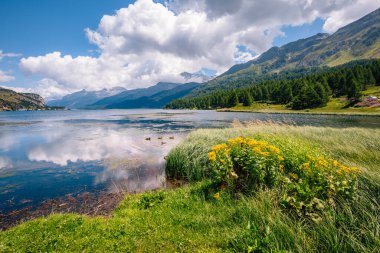 Gök mavisi Silsersee (Sils) üzerinde inanılmaz bir manzara. Resimli ve muhteşem bir sahne. Popüler turist eğlencesi. Lokasyon Yukarı Lokomotif Vadisi, Grisonlar, İsviçre Alpleri, Avrupa. Güzellik dünyası.