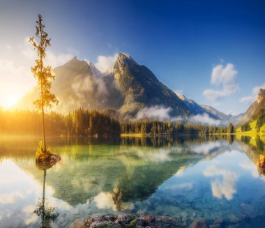Turkuaz suyu ve Hintersee Gölü 'ndeki bir kaya adasındaki ağaçların görüntüsü. Ünlü tatil beldesi Berchtesgadener Land, Ramsau, Bavyera, Alpler. Avrupa. Sanatsal resim. Güzellik dünyası.