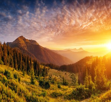 Güneş ışığı altında parlayan dağların resimli görüntüsü. Dramatik sabah sahnesi. Ukrayna, Avrupa 'daki Karpatlar Milli Parkı' nda. Sanatsal resim. Güzellik dünyası. Sıcak tonlama efekti.