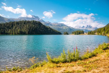 Champfer 'in Alp Vadisi' ndeki masmavi gölet manzarası harika. Popüler turist eğlencesi. Resimli ve muhteşem bir sahne. İsviçre Alpleri, Silvaplana Köyü, Maloja Bölgesi, Avrupa. Güzellik dünyası.