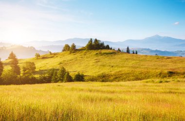 Güneş ışığıyla parlayan Alp Vadisi 'nin harika manzarası. Resim gibi ve muhteşem bir sabah sahnesi. Popüler turist eğlencesi. Mekan Karpatlar, Ukrayna, Avrupa. Sanatsal resim. Güzellik dünyası