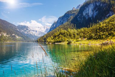 Büyük gök mavisi alp gölü Vorderer Gosausee Resim gibi ve muhteşem bir sabah sahnesi. Salzkammergut Yukarı Avusturya 'daki Gosau Vadisi' nde bulunan ünlü bir tatil köyüdür. Dachstein buzulu. Güzellik dünyası.