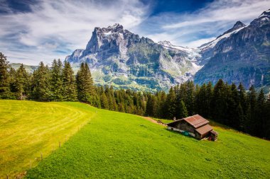 Eiger Köyü 'nün manzarası çok etkileyici. Resimli ve muhteşem bir sahne. Popüler turist eğlencesi. İsviçre Alpleri, Grindelwald Vadisi, Bernese Oberland, Avrupa. Güzellik dünyası.