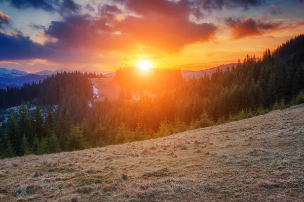 美丽的山在阳光下闪闪发光 黎明时分 天空一片漆黑 戏剧化和风景如画的场面 欧洲乌克兰喀尔巴阡山国家公园 美丽的世界 — 图库照片