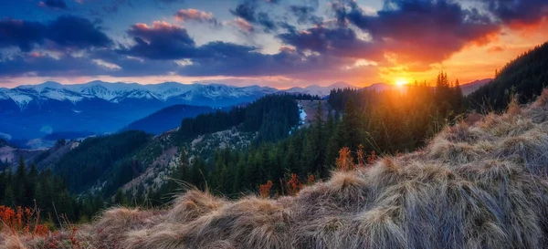 太陽の光で輝く幻想的な山 朝の暗い曇りの空 劇的で絵のようなシーン 場所カルパチア国立公園 ウクライナ ヨーロッパ 美の世界 — ストック写真