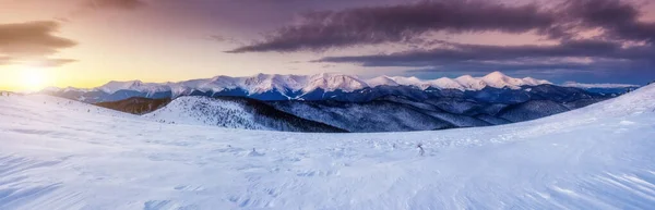 太陽の光で輝く雄大な山 劇的で絵のような朝の冬のシーン 場所カルパチア国立公園 ウクライナ ヨーロッパ 美の世界 暖かいトーニング効果 明けましておめでとうございます — ストック写真