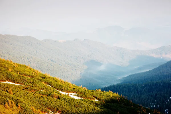 幻想的な晴れた日の山の風景です 劇的で絵のような朝のシーン 場所カルパティア国立公園 チョルノゴラ山脈 ウクライナ ヨーロッパ 美の世界 — ストック写真