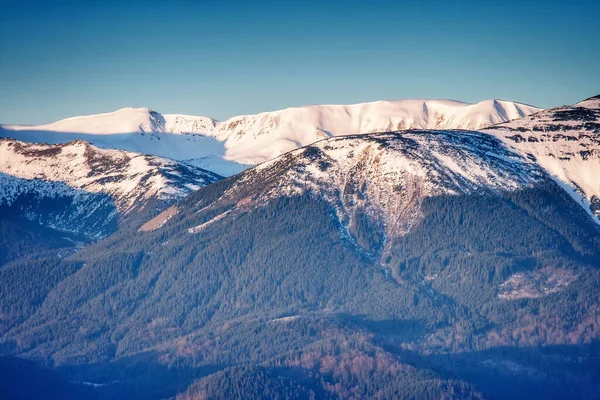 Solig Dag Bergslandskapet Dramatisk Och Pittoresk Morgonscen Plats Karpaternas Nationalpark — Stockfoto