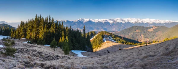 Solig Dag Bergslandskapet Dramatisk Och Pittoresk Morgonscen Plats Karpaternas Nationalpark — Stockfoto