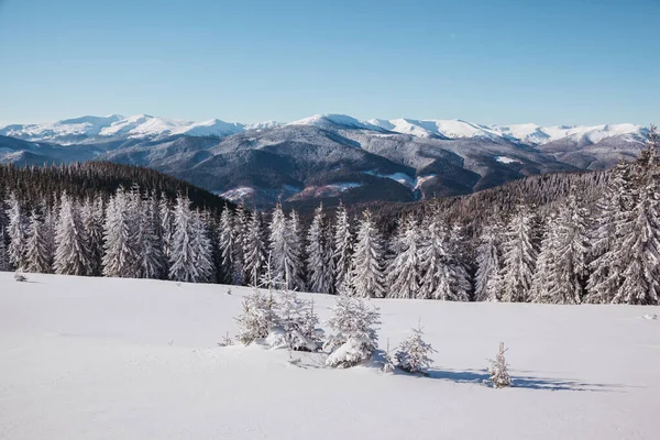 Majestätische Landschaft Glühen Durch Sonnenlicht Morgen Dramatische Winterliche Szene Lage — Stockfoto