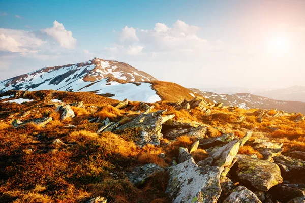 Fantastische Zonnige Dag Het Berglandschap Dramatische Pittoreske Ochtendscène Locatie Karpaten — Stockfoto