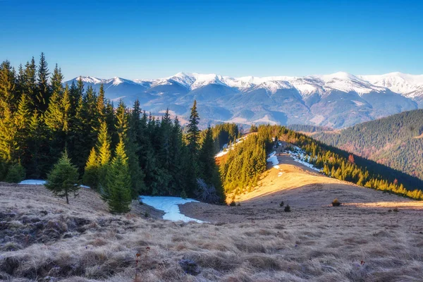 Solig Dag Bergslandskapet Dramatisk Och Pittoresk Morgonscen Plats Karpaternas Nationalpark — Stockfoto