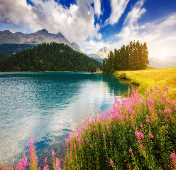 Fantastic View Azure Pond Champfer Picturesque Scene Location Resort Silvaplana — Stock Photo, Image