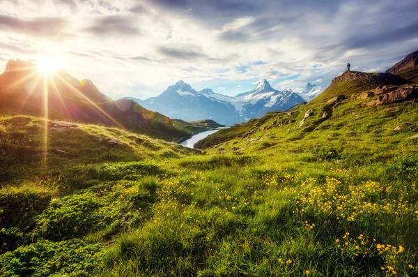 山的全景 Schreckhorn和Wetterhorn 受欢迎的旅游胜地 戏剧化和风景如画的场面 Bachalpsee Swiss Alps Bernese Oberland Grindelwald — 图库照片