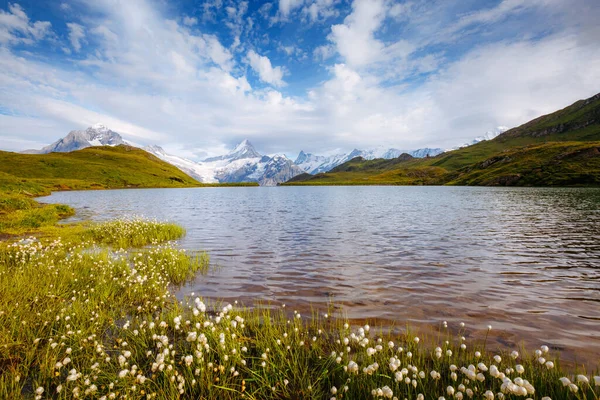 Toller Blick Auf Den Schreckhorn Und Wetterhorn Oberhalb Des Bachalpsees — Stockfoto